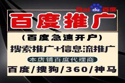 SEM代理的优化策略及成功案例